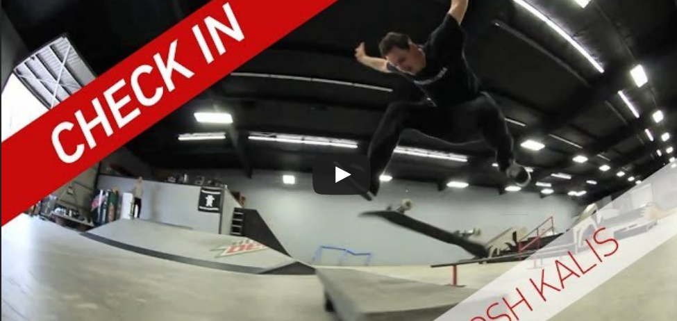 Murdy The Dawg: El mejor 'perro skater' del mundo