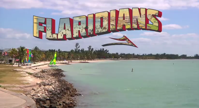 Pizza Skateboards - 'Heat'