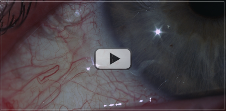 Run & Gun 2016: Nyjah Huston