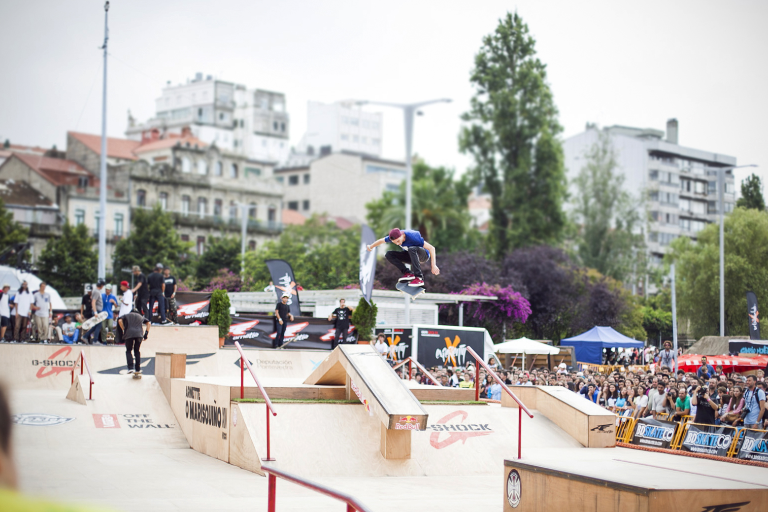 Arnette O Marisquiño XIV: Crónica