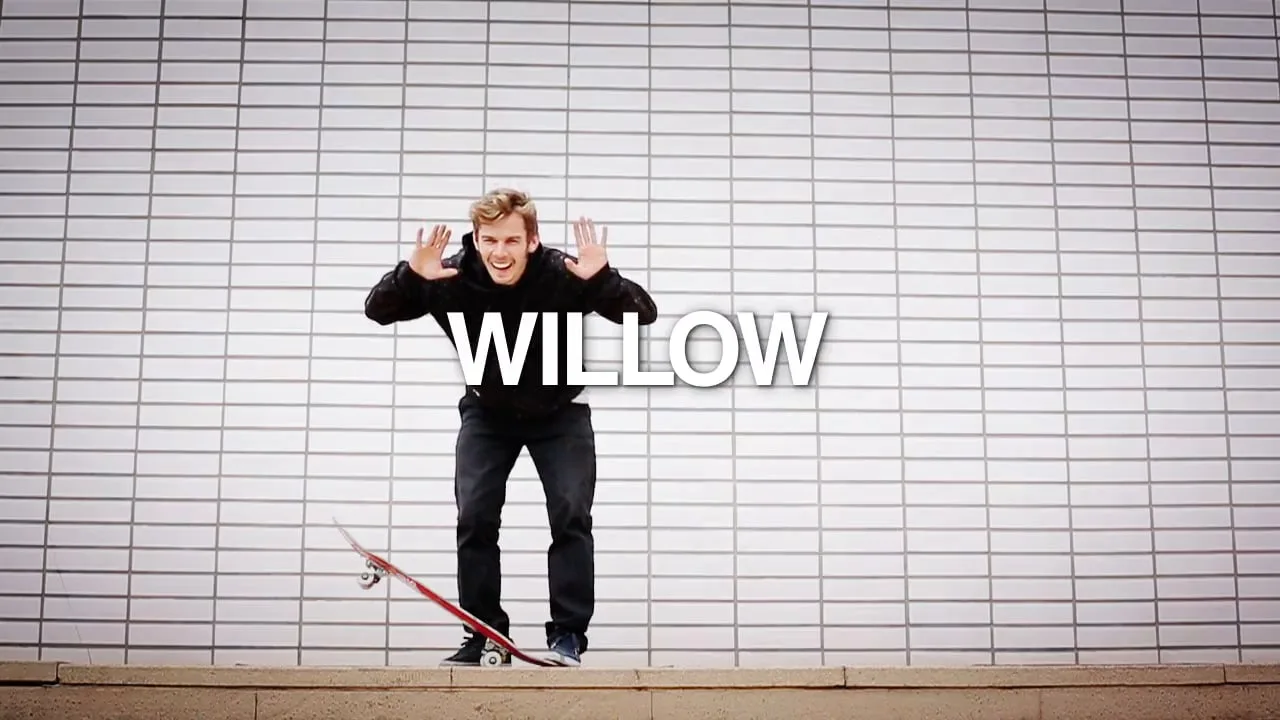 LRG EUROPE welcomes WILLOW