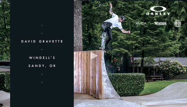 In Transition: David Gravette