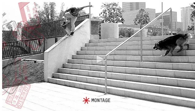 De la Calle / Da Rua: Global Team