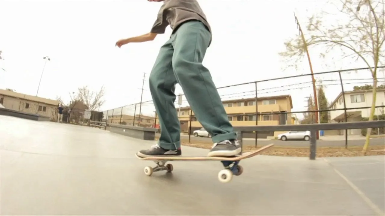 Sebo Walker: Bones Bearings