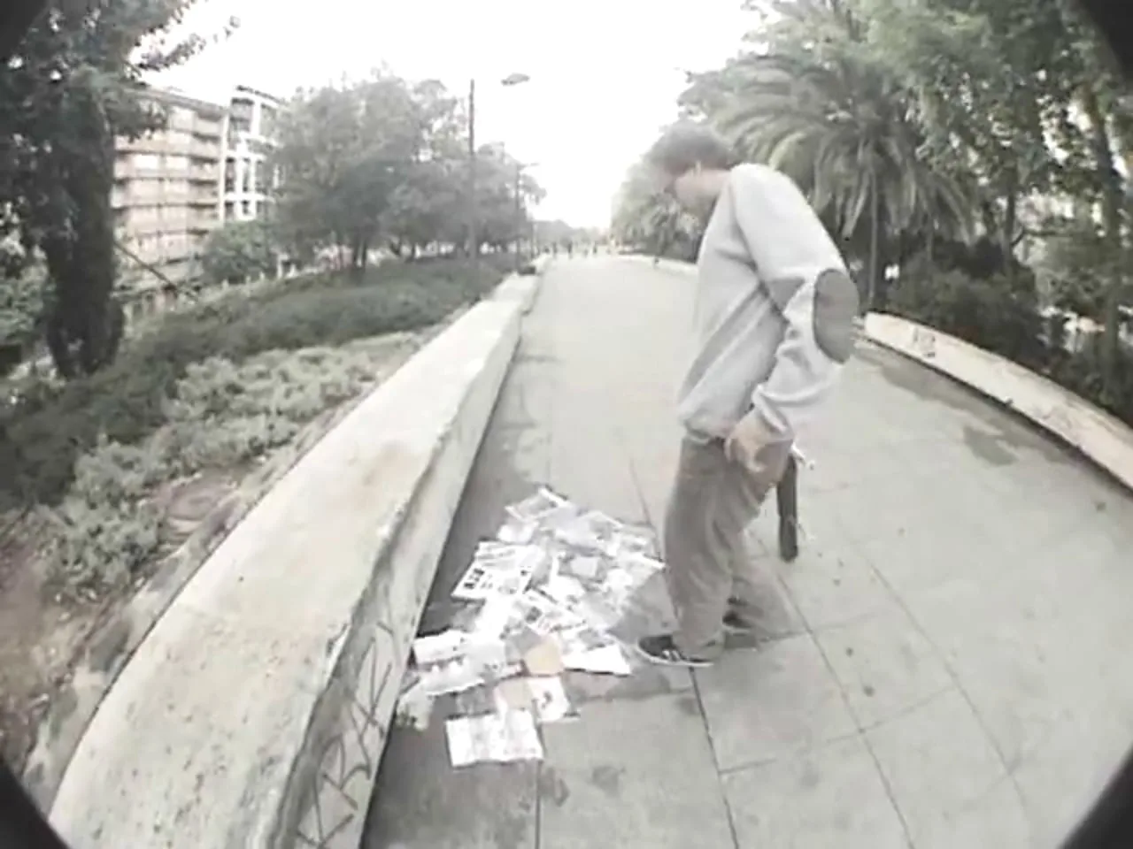 Irony wheels - Hugo Miralles