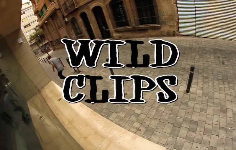 Nectarina Wild Clip #9 by Patrick Edmundson