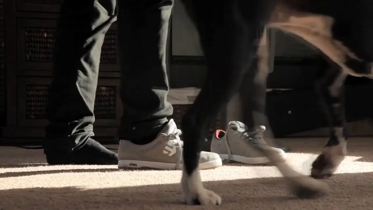 etnies Marana: David Reyes