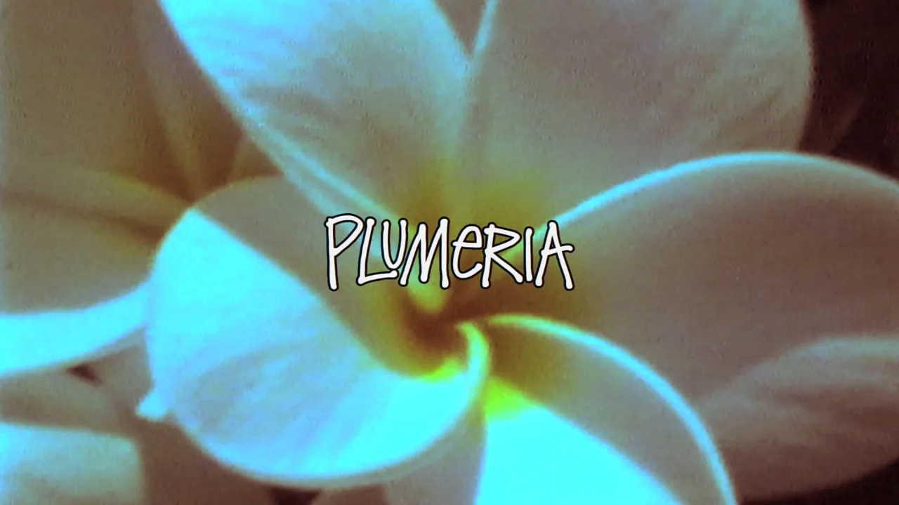 'Plumeria' - El Vídeo de Stüssy en Hawaii