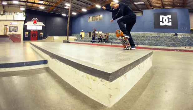 The Whole Damn Thing: Sascha Daley