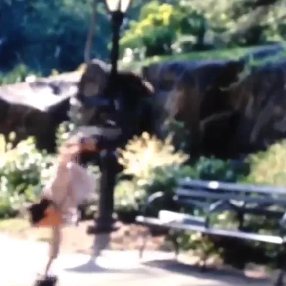 Rodney Mullen in The Secret Life Of Walter Mitty